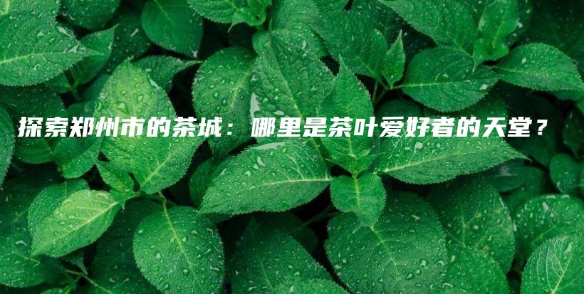 探索鄭州市的茶城：哪里是茶葉愛好者的天堂？插圖