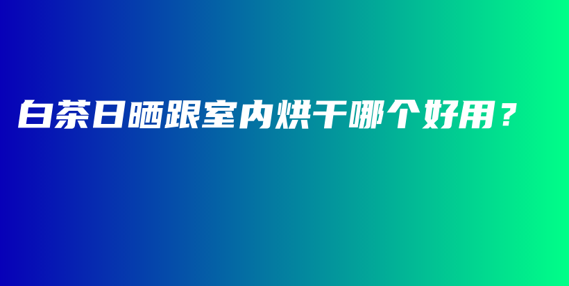 白茶日曬跟室內(nèi)烘干哪個好用？插圖