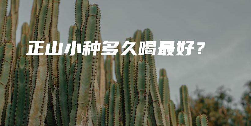 正山小種多久喝最好？插圖