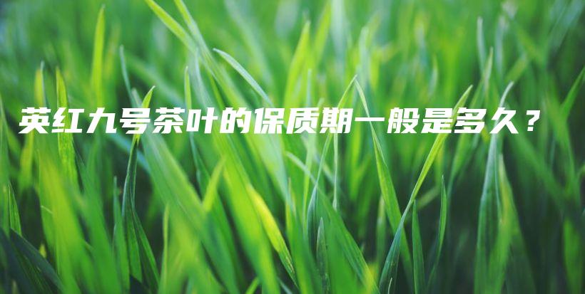 英紅九號茶葉的保質(zhì)期一般是多久？插圖
