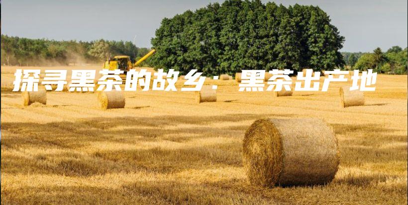 探尋黑茶的故鄉(xiāng)：黑茶出產(chǎn)地插圖