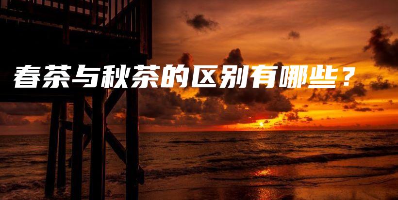 春茶與秋茶的區(qū)別有哪些？插圖