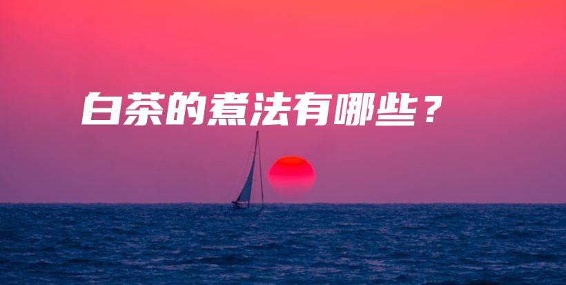 白茶的煮法有哪些？插圖