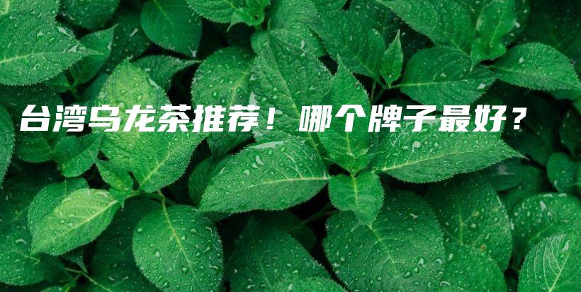 臺(tái)灣烏龍茶推薦！哪個(gè)牌子最好？插圖