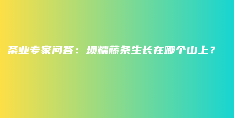 茶業(yè)專家問答：壩糯藤條生長在哪個山上？插圖