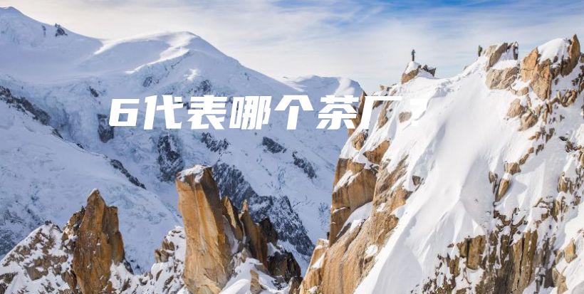 6代表哪個茶廠？插圖