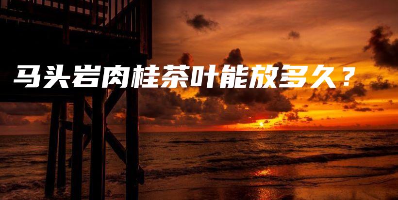 馬頭巖肉桂茶葉能放多久？插圖