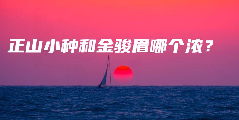 正山小種和金駿眉哪個(gè)濃？插圖