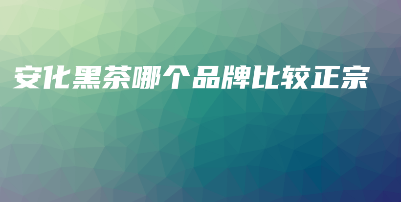 安化黑茶哪個品牌比較正宗插圖