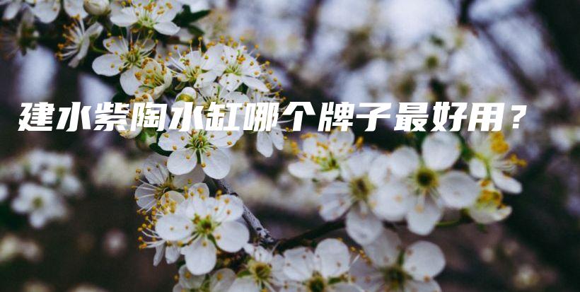 建水紫陶水缸哪個(gè)牌子最好用？插圖