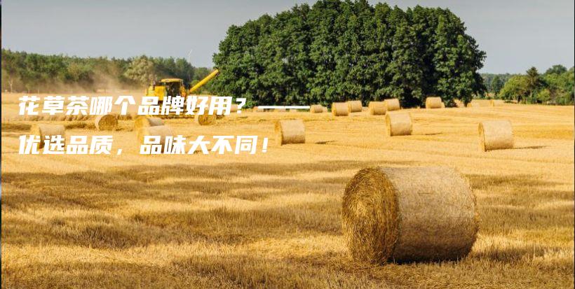 花草茶哪個(gè)品牌好用？——優(yōu)選品質(zhì)，品味大不同！插圖