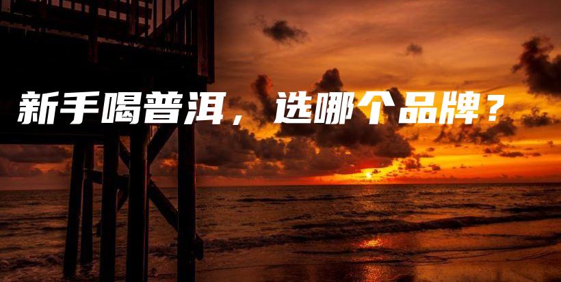 新手喝普洱，選哪個(gè)品牌？插圖