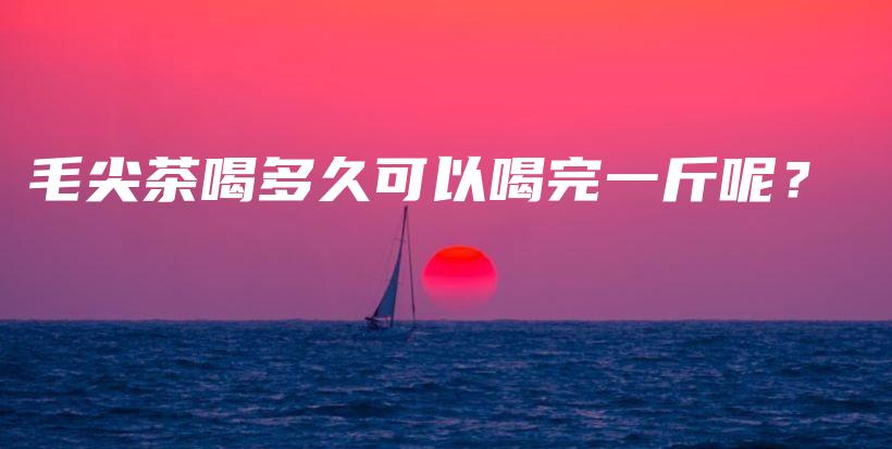 毛尖茶喝多久可以喝完一斤呢？插圖