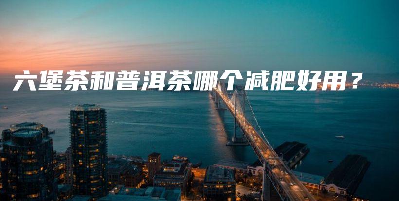 六堡茶和普洱茶哪個減肥好用？插圖