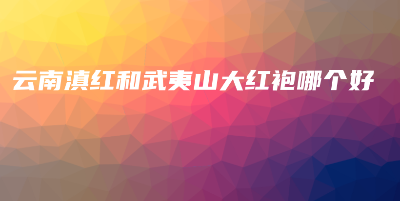 云南滇紅和武夷山大紅袍哪個(gè)好插圖