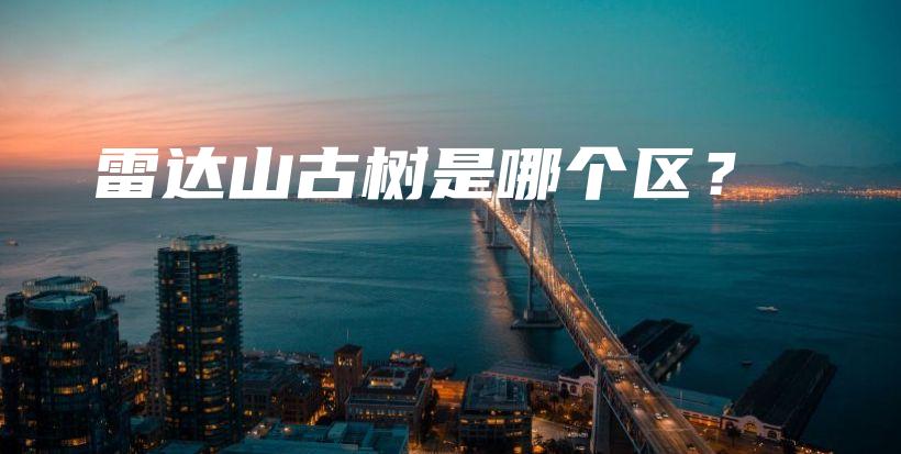 雷達(dá)山古樹是哪個(gè)區(qū)？插圖