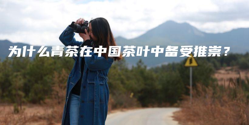 為什么青茶在中國茶葉中備受推崇？插圖