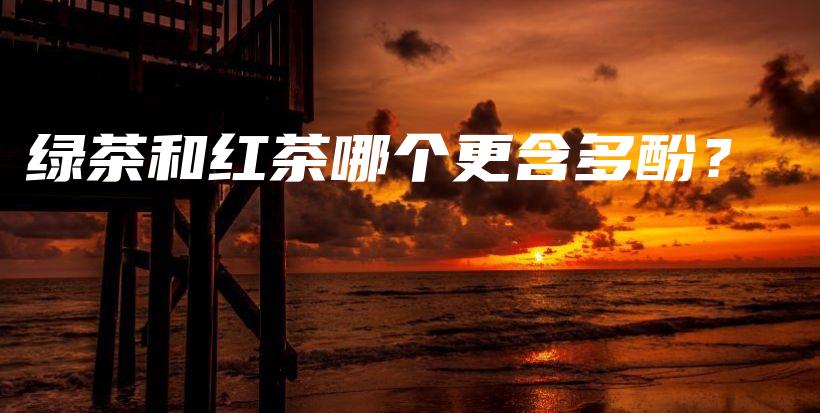 綠茶和紅茶哪個(gè)更含多酚？插圖