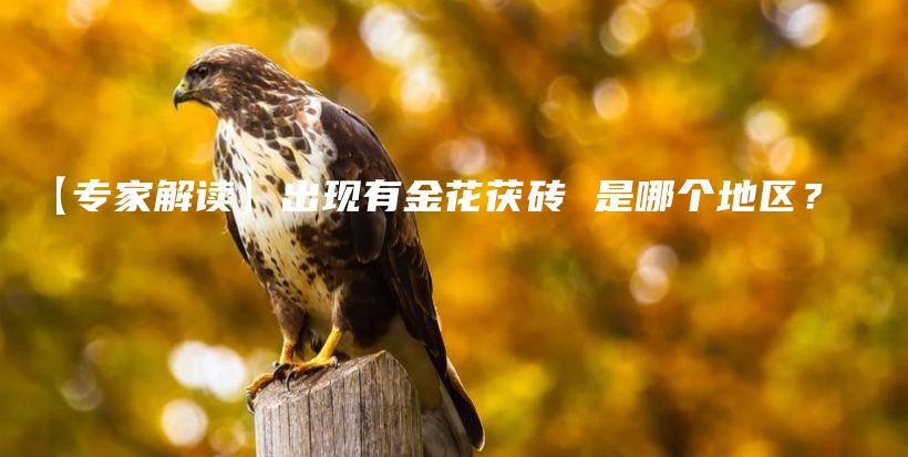 【專家解讀】出現(xiàn)有金花茯磚 是哪個地區(qū)？插圖