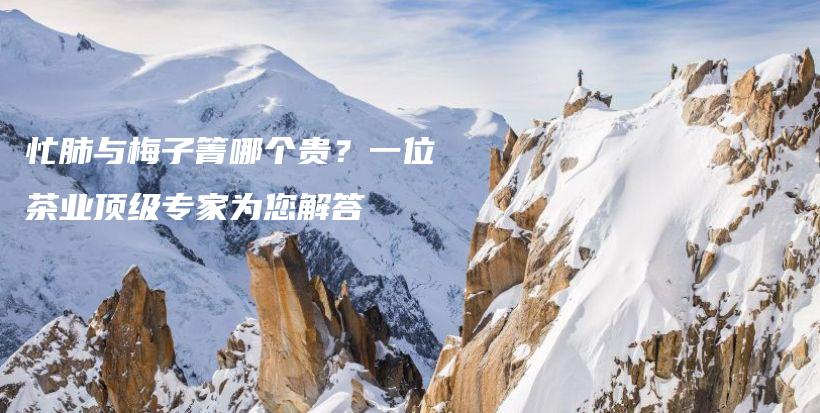 忙肺與梅子箐哪個(gè)貴？一位茶業(yè)頂級(jí)專家為您解答插圖