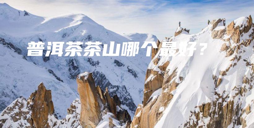 普洱茶茶山哪個(gè)最好？插圖