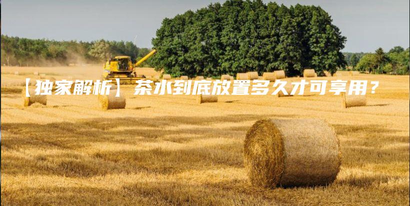 【獨家解析】茶水到底放置多久才可享用？插圖