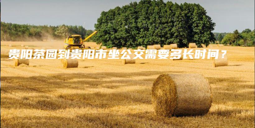 貴陽茶園到貴陽市坐公交需要多長時間？插圖
