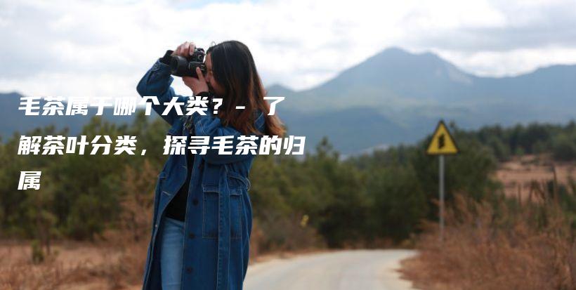 毛茶屬于哪個(gè)大類(lèi)？- 了解茶葉分類(lèi)，探尋毛茶的歸屬插圖