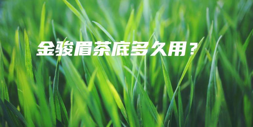 金駿眉茶底多久用？插圖