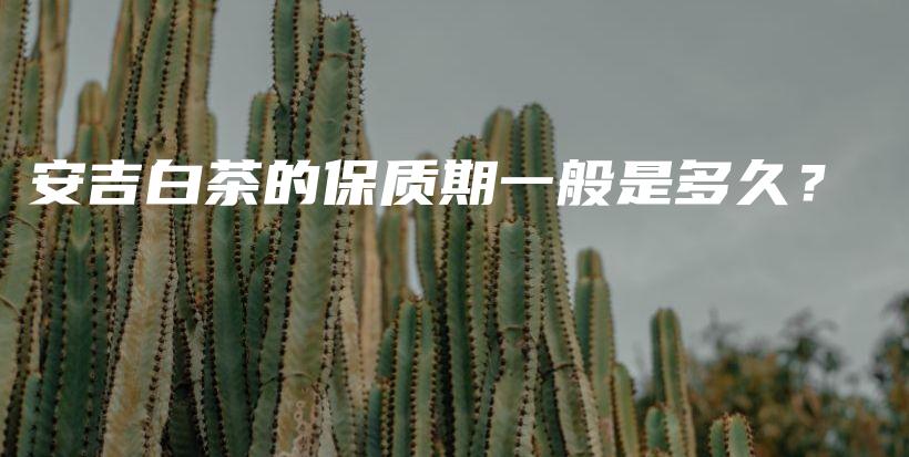 安吉白茶的保質(zhì)期一般是多久？插圖