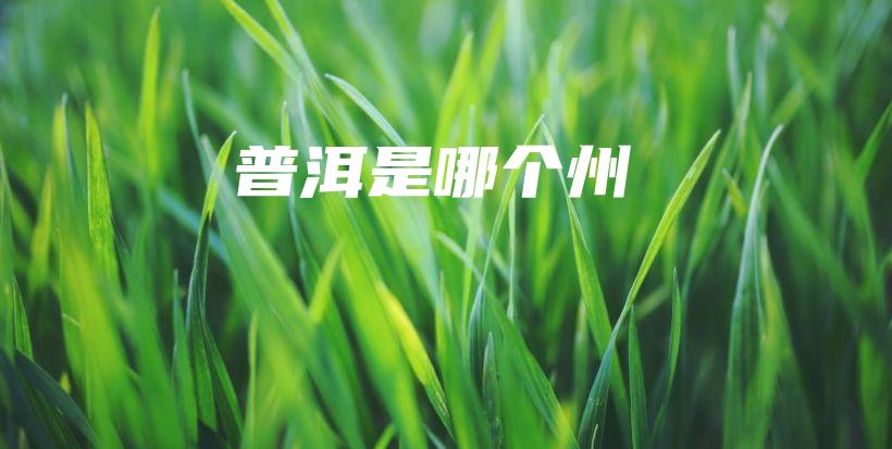 普洱是哪個(gè)州插圖