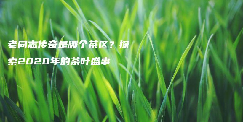 老同志傳奇是哪個(gè)茶區(qū)？探索2020年的茶葉盛事插圖