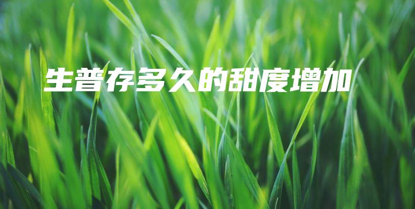 生普存多久的甜度增加插圖