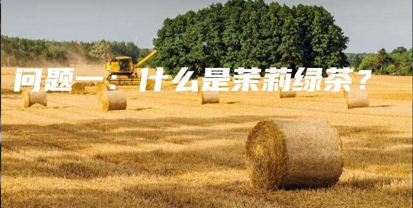 問題一：什么是茉莉綠茶？插圖