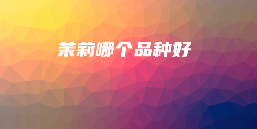 茉莉哪個(gè)品種好插圖