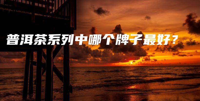 普洱茶系列中哪個(gè)牌子最好？插圖