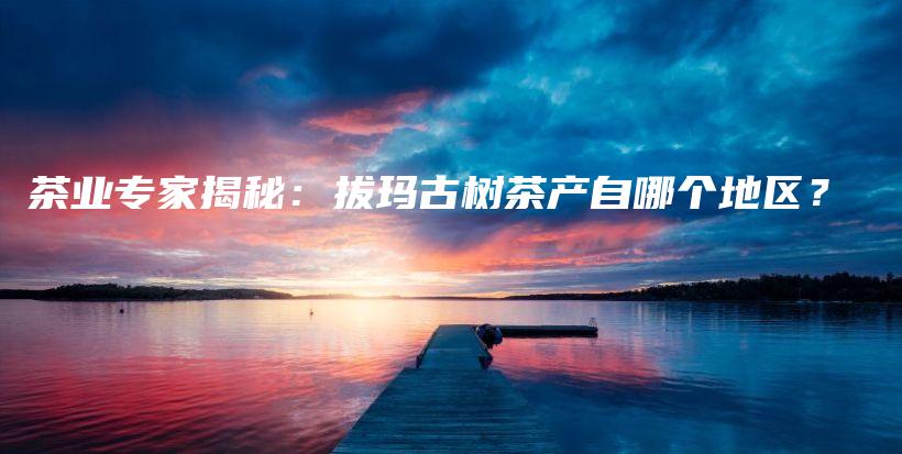 茶業(yè)專(zhuān)家揭秘：拔瑪古樹(shù)茶產(chǎn)自哪個(gè)地區(qū)？插圖