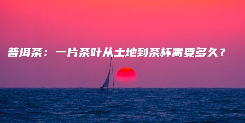 普洱茶：一片茶葉從土地到茶杯需要多久？插圖