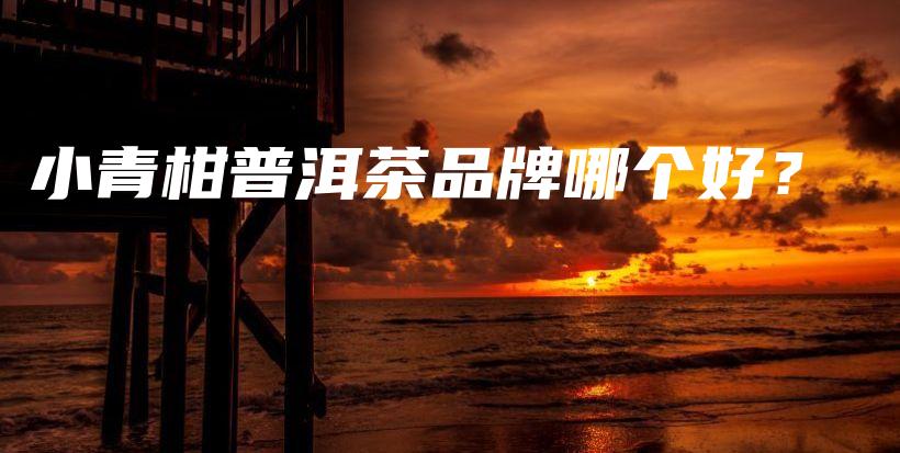 小青柑普洱茶品牌哪個好？插圖