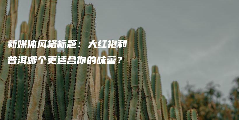 新媒體風格標題：大紅袍和普洱哪個更適合你的味蕾？插圖