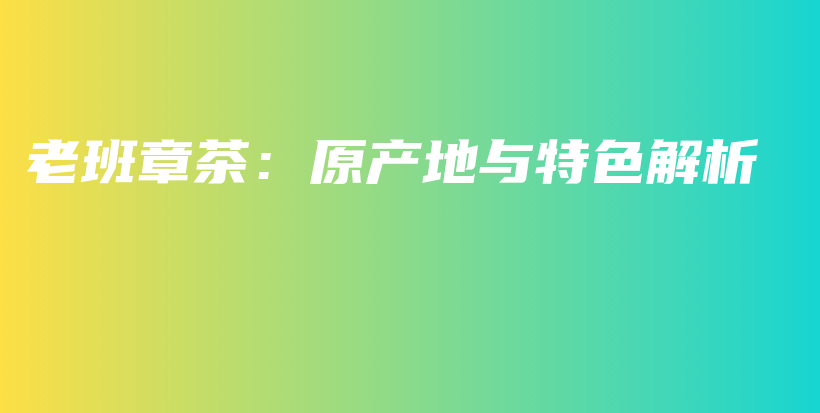 老班章茶：原產(chǎn)地與特色解析插圖