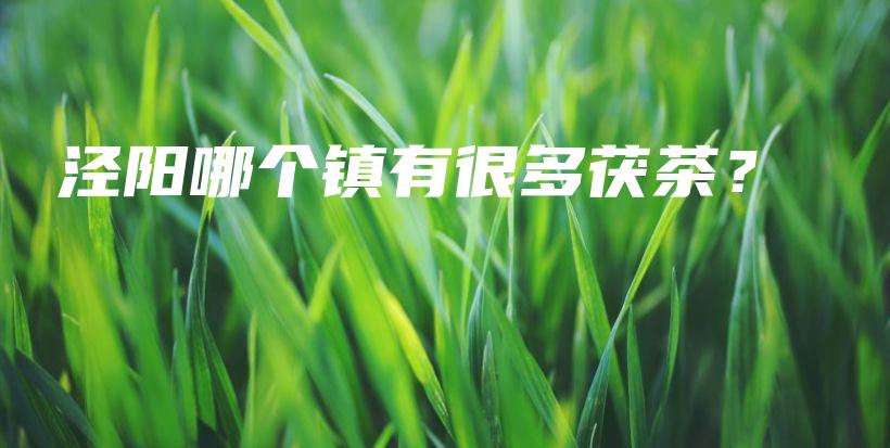 涇陽哪個鎮(zhèn)有很多茯茶？插圖