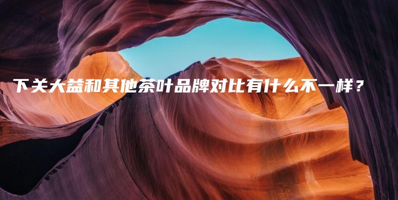 下關(guān)大益和其他茶葉品牌對(duì)比有什么不一樣？插圖