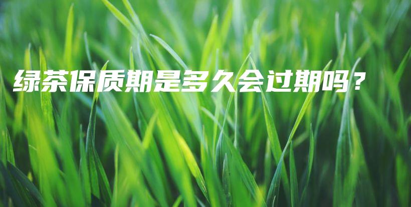 綠茶保質期是多久會過期嗎？插圖
