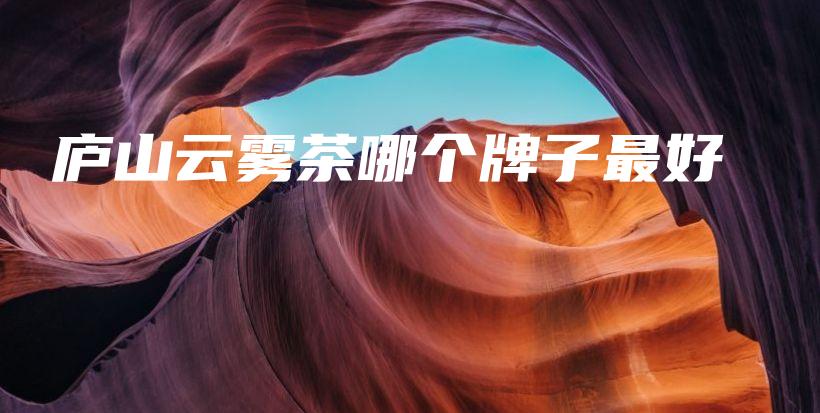 廬山云霧茶哪個牌子最好插圖