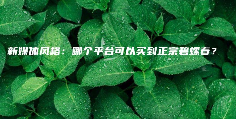 新媒體風(fēng)格：哪個(gè)平臺(tái)可以買到正宗碧螺春？插圖