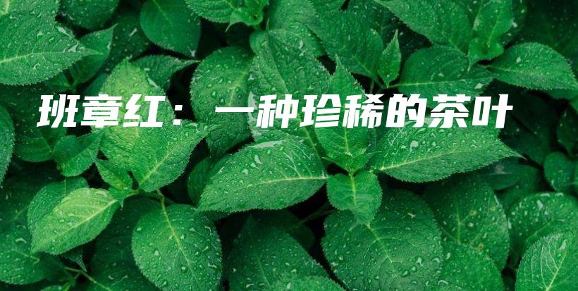 班章紅：一種珍稀的茶葉插圖