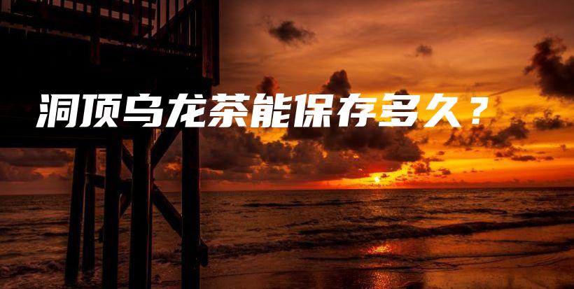 洞頂烏龍茶能保存多久？插圖