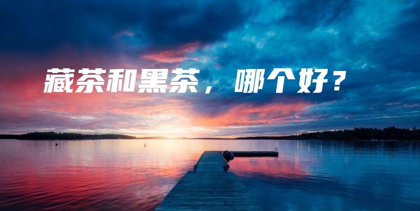 藏茶和黑茶，哪個好？插圖
