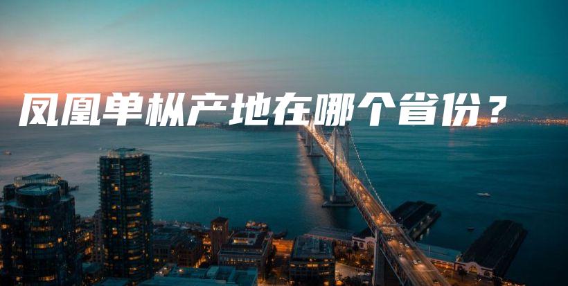 鳳凰單樅產(chǎn)地在哪個省份？插圖